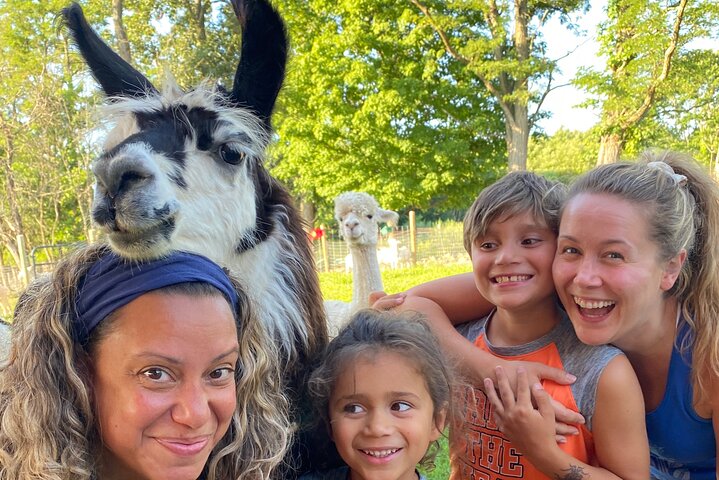 Farm Tour at Clover Brooke Llama/Alpaca/Goat Farm