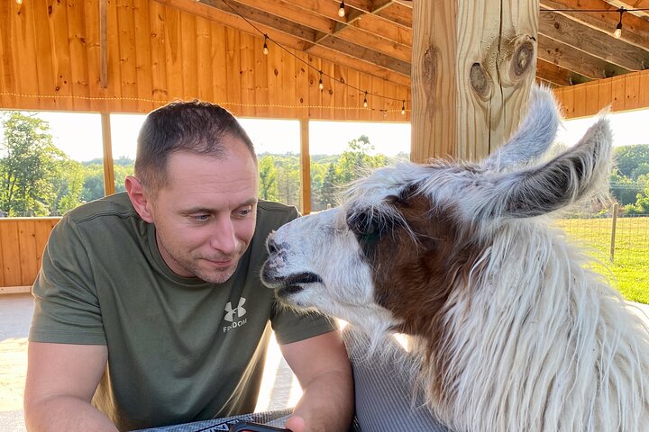 Farm Tour at Clover Brooke Llama/Alpaca/Goat Farm