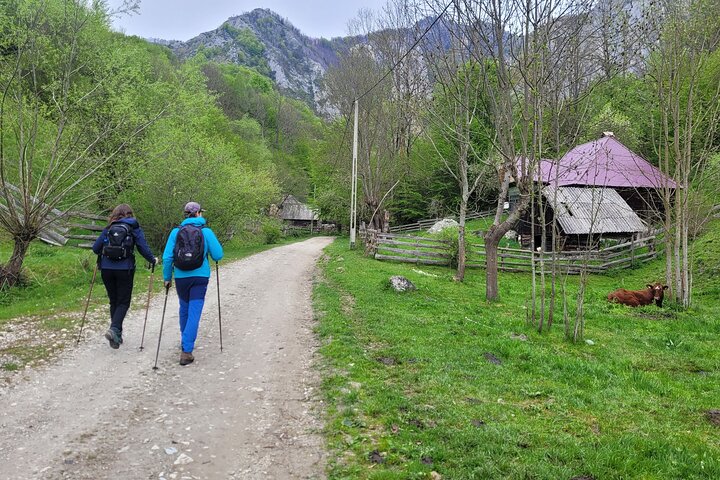 Discover Apuseni Mountains - Scarita Summit,Sipote Waterfall and Dumesti Village