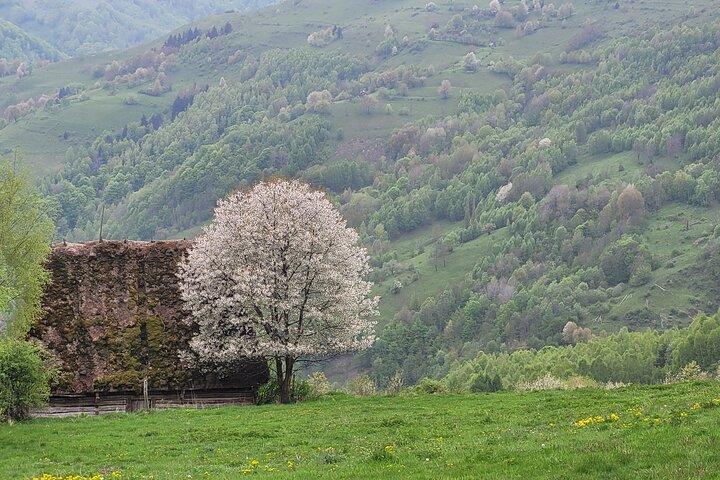 Discover Apuseni Mountains - Scarita Summit,Sipote Waterfall and Dumesti Village