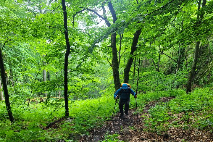 Discover Apuseni Mountains - Scarita Summit,Sipote Waterfall and Dumesti Village