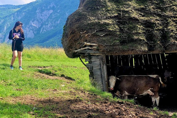 Discover Apuseni Mountains - Scarita Summit,Sipote Waterfall and Dumesti Village