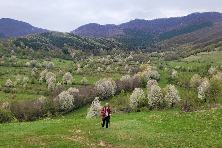 Curly Tour - Day trip from Cluj :)