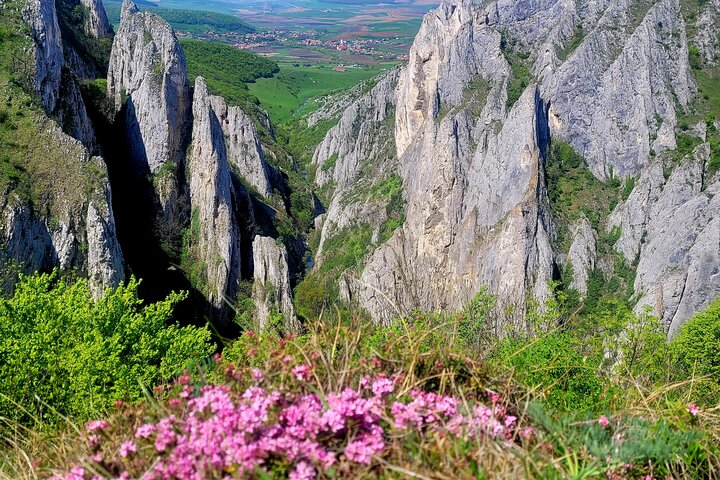 Curly Tour - Day trip from Cluj :)