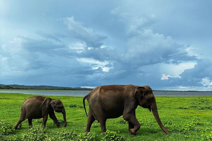 Sri Lanka Personal Tour Driver in private vehicle