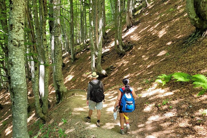 Self-Guided Hiking Tour: Theth, Valbona & Koman Lake in 3 Days