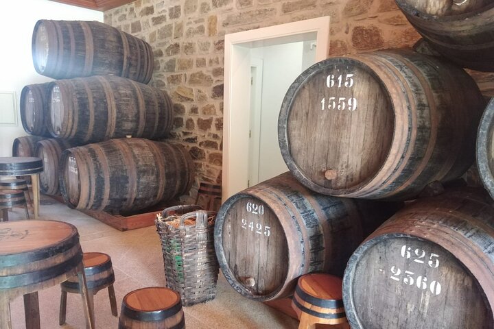 3-Hour Tour to Discover Pinhão - Moment of Discovery