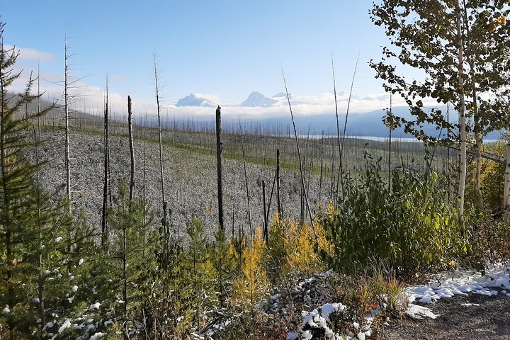 Nature Walk in Glacier National Park