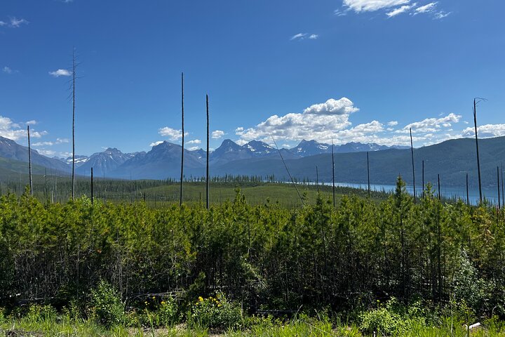 Nature Walk in Glacier National Park