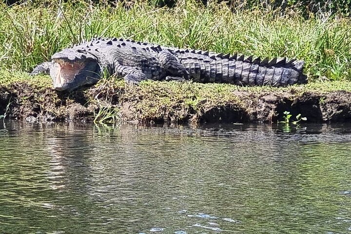 Transfer from Tortuguero to Moin by boat