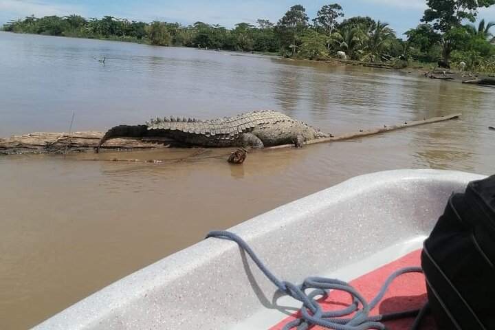 Transfer from Tortuguero to Moin by boat