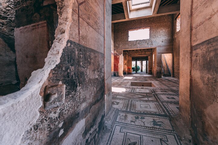 Pompeii & Villa of Mysteries Small Group Tour with Archaeologist