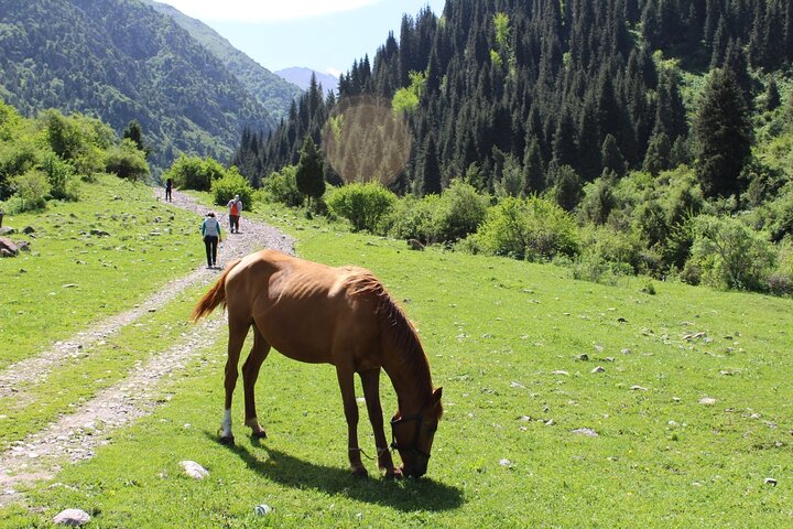 Scenic Kol Tor Lake Hike & Burana Tower in 1 Day