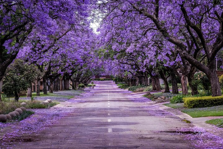 Johannesburg Chauffeur Full Day