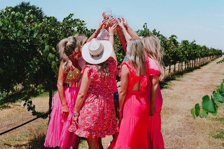 Half-Day Winery Tour in Fredericksburg