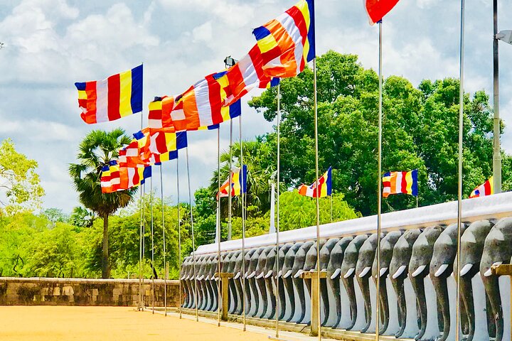 Private 8 Days Tour in Sri Lanka with Transfer and Accommodation