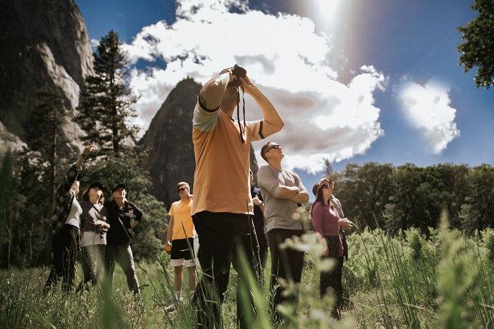 Yosemite National Park and Giant Sequoias Tour from San Jose