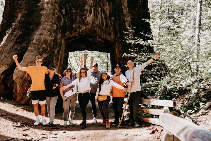Yosemite National Park and Giant Sequoias Tour from San Jose