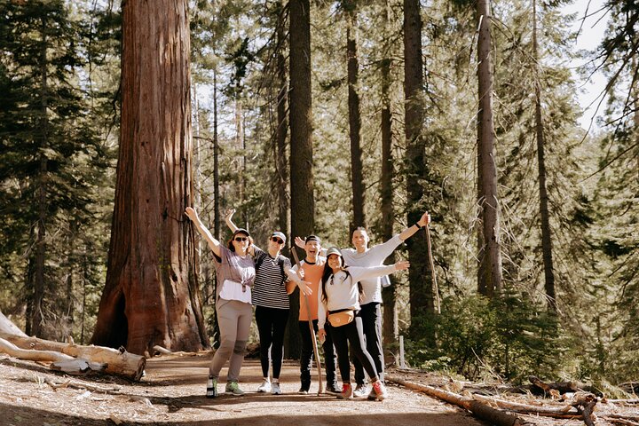 Yosemite National Park and Giant Sequoias Tour from San Jose