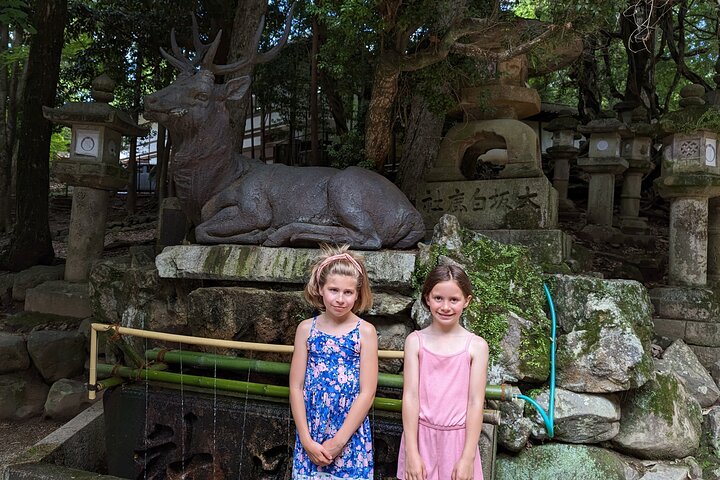 E-Bike Nara Highlights - Todaiji, Knives, Deer, Shrine, and Gems