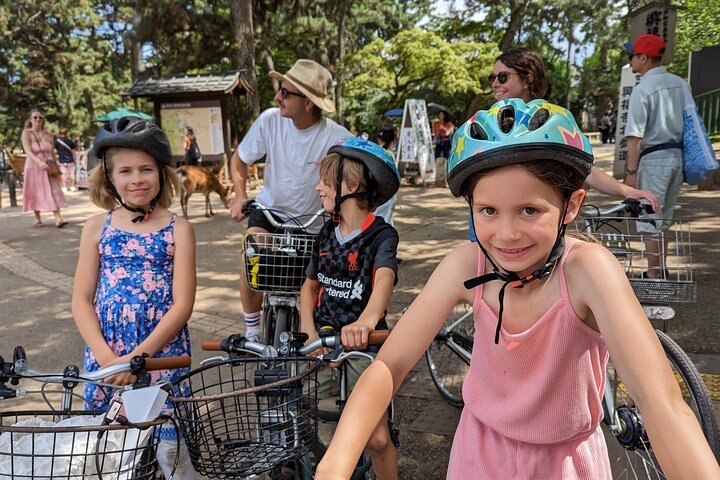E-Bike Nara Highlights - Todaiji, Knives, Deer, Shrine, and Gems