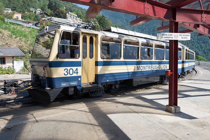 Attraction Ticket: Rochers-de-Naye Railway Ticket from Montreux