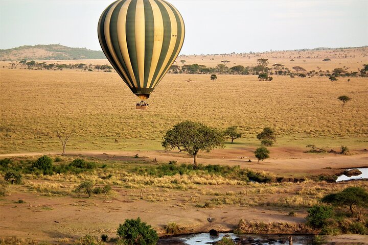 Affordable 3-Day Safari to Serengeti & Ngorongoro Crater