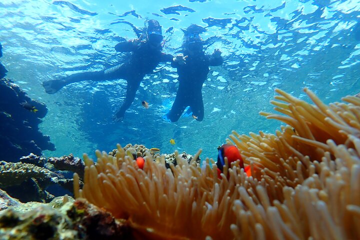 Okinawa Ishigaki Phantom Island and Blue Cave Snorkeling