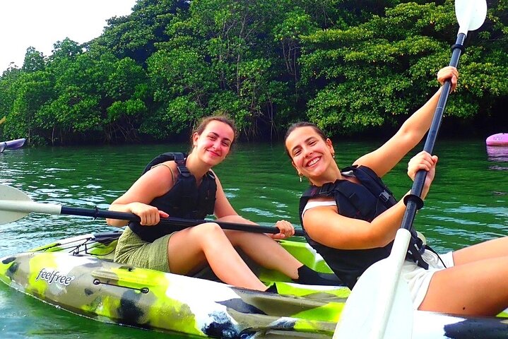 Okinawa Ishigaki Mangrove SUP or Canoe Tour