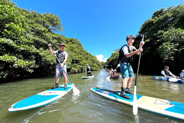 Okinawa Ishigaki Mangrove SUP or Canoe Tour