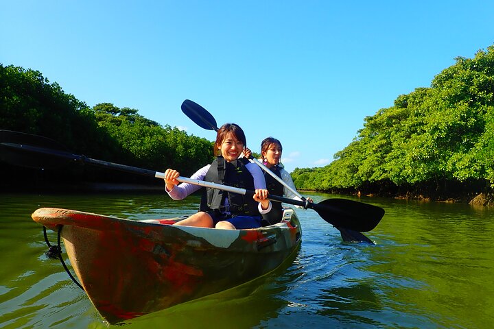 Okinawa Ishigaki Mangrove SUP or Canoe Tour