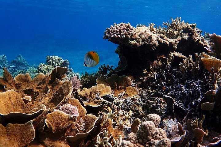 Okinawa Ishigaki Phantom Island Snorkeling Tour