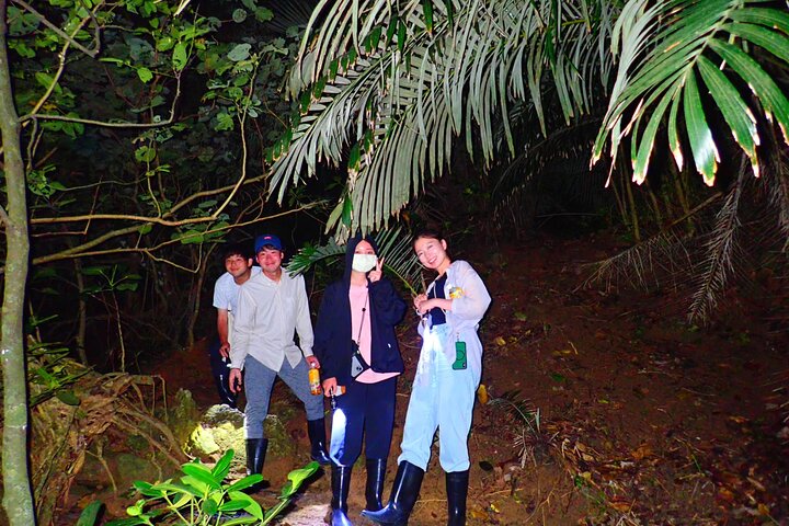 Okinawa Ishigaki Island Night Starry sky and Jungle night tour