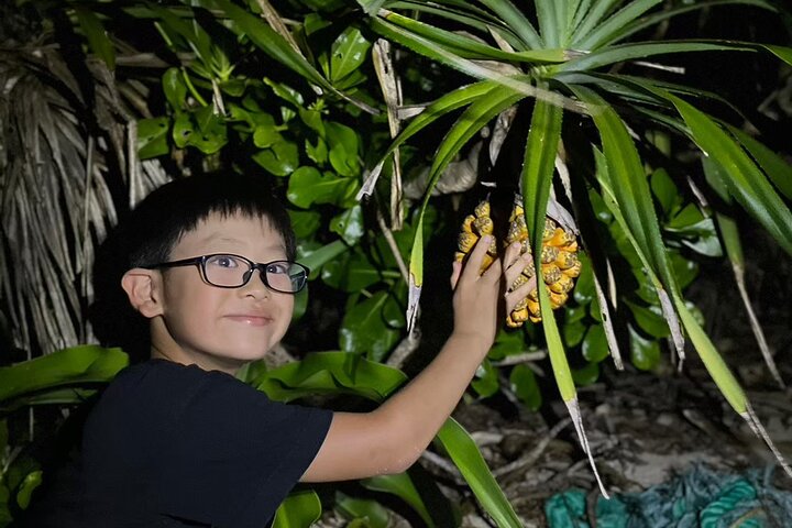 Okinawa Ishigaki Island Night Starry sky and Jungle night tour