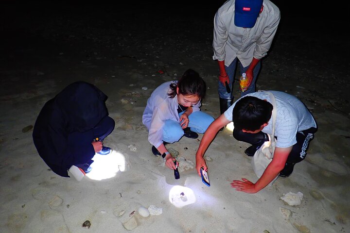 Okinawa Ishigaki Island Night Starry sky and Jungle night tour