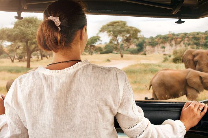 3-Hour Scheduled Safari Game Drive in Pilanesberg National Park
