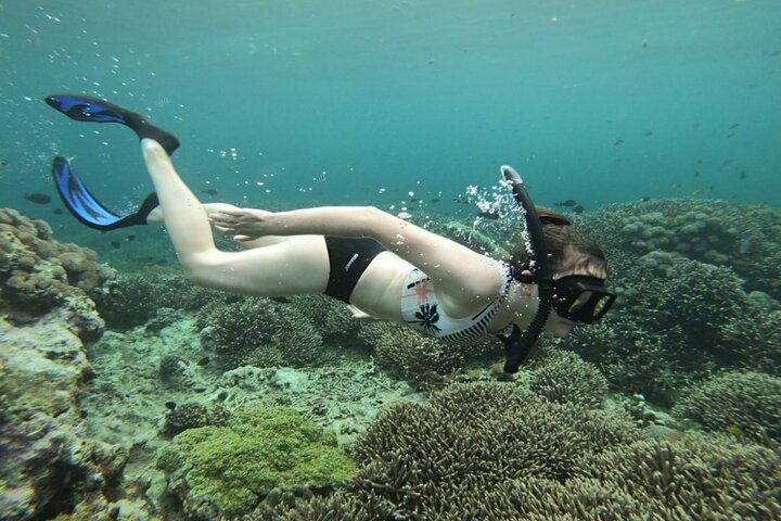 Swim with Manta Rays : Snorkeling Day Trip from Bali