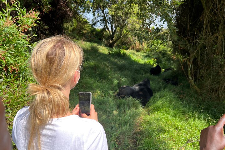 1 Day Gorilla Trekking Mgahinga Gorilla NP & Lake Bunyonyi