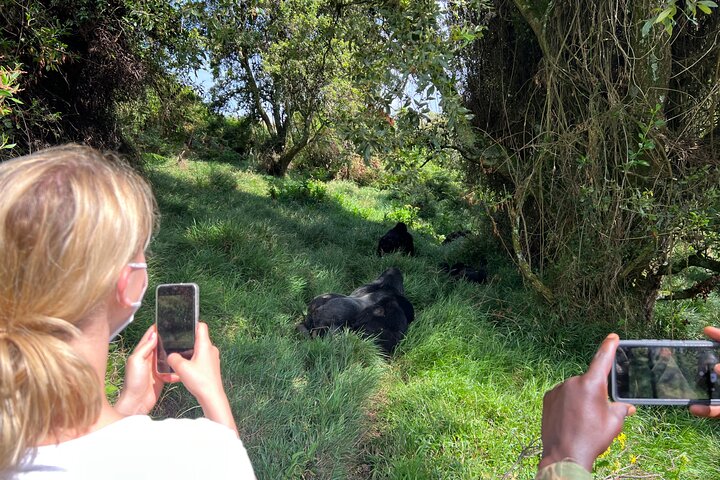 1 Day Gorilla Trekking Mgahinga Gorilla NP & Lake Bunyonyi