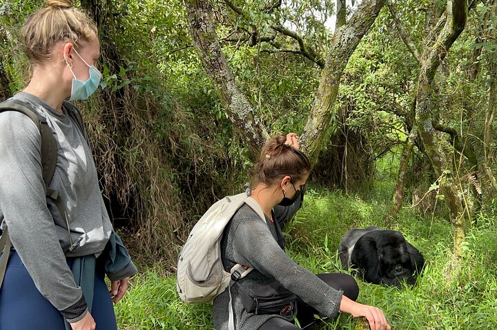 1 Day Gorilla Trekking Mgahinga Gorilla NP & Lake Bunyonyi