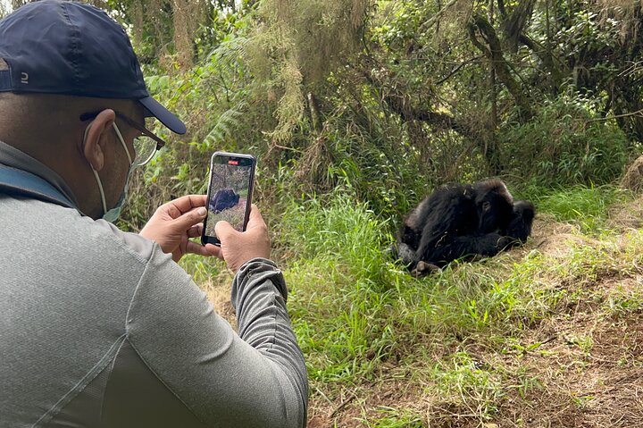 1 Day Gorilla Trekking Mgahinga Gorilla NP & Lake Bunyonyi