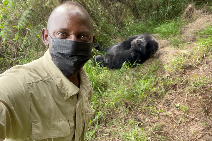 1 Day Gorilla Trekking Mgahinga Gorilla NP & Lake Bunyonyi