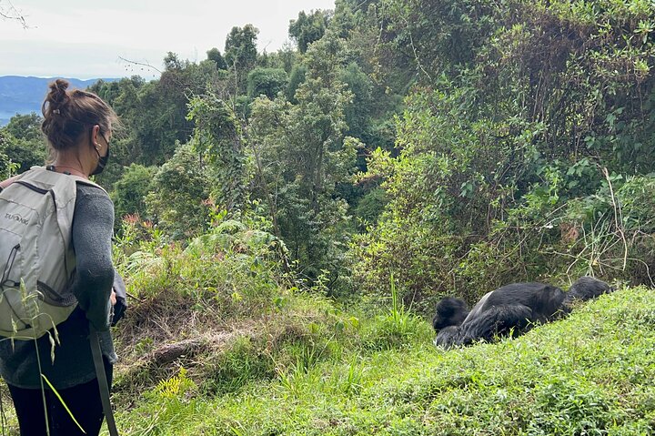1 Day Gorilla Trekking Mgahinga Gorilla NP & Lake Bunyonyi