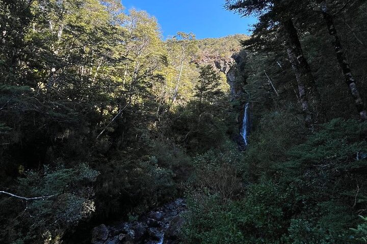 Arthurs Pass and Southern Alps Day Excursion from Port Lyttelton or Christchurch