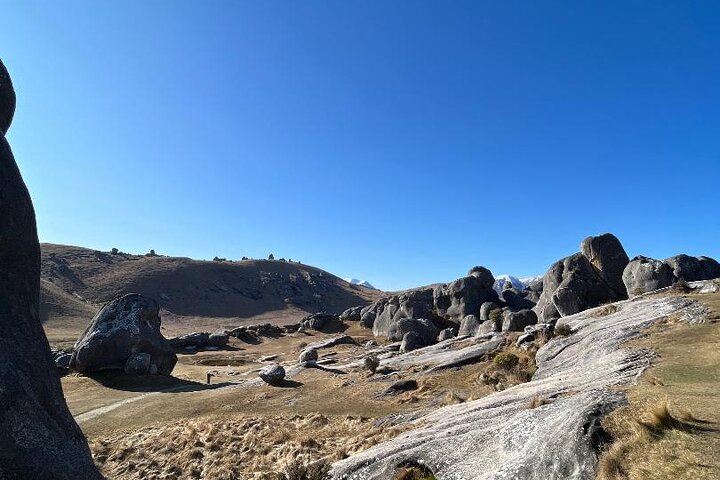 Arthurs Pass and Southern Alps Day Excursion from Port Lyttelton or Christchurch