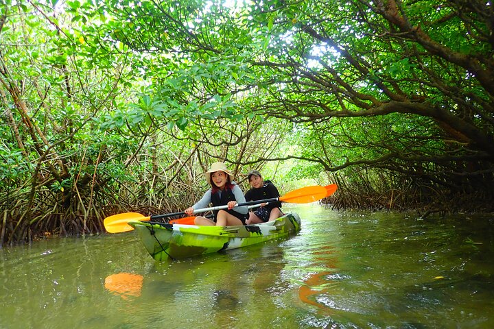 Okinawa Ishigaki Mangrove SUP or Canoe Tour
