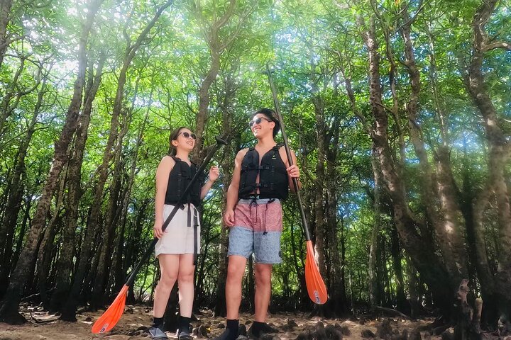 Okinawa Ishigaki Mangrove SUP or Canoe Tour