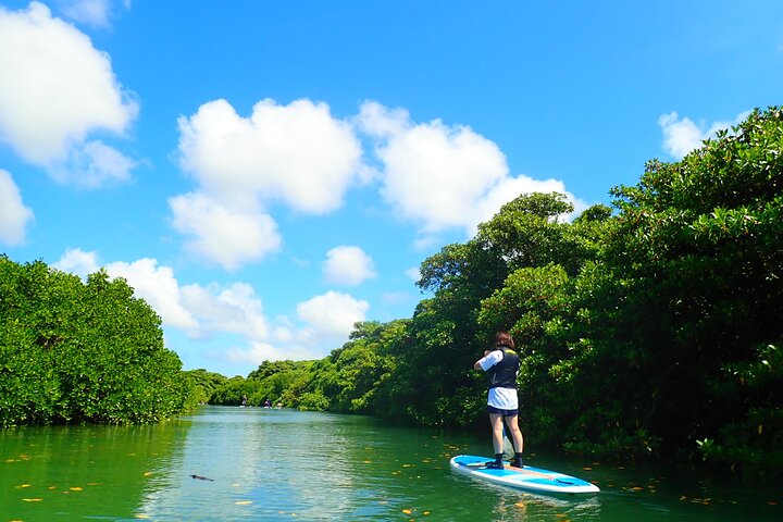 Okinawa Ishigaki Mangrove SUP or Canoe Tour