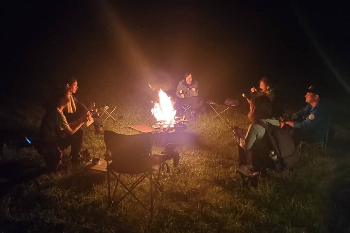 Experience a Starry Sky and Drinks in Millennium Grassland