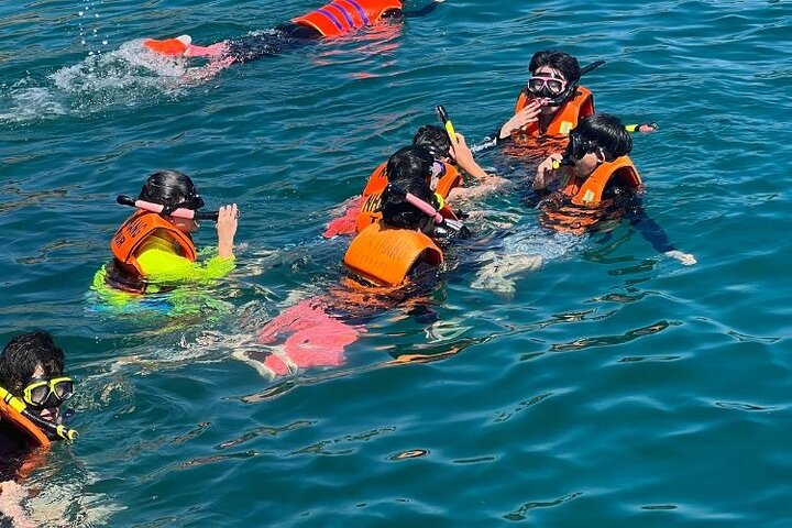 Nha Trang Bay: Private Half-Day Snorkeling Tour at Coral Reef